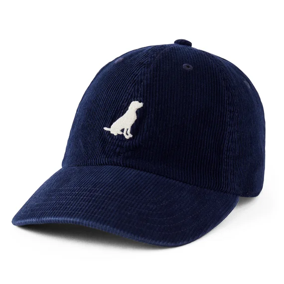 - Pet stroller can be taken on the planeWag On Lab Corduroy Chill Cap